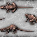 211.Stalker_rat_model