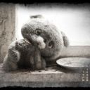 June_sp_w