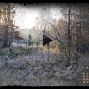 2011_december_sp_w