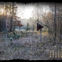 2011_december_sp